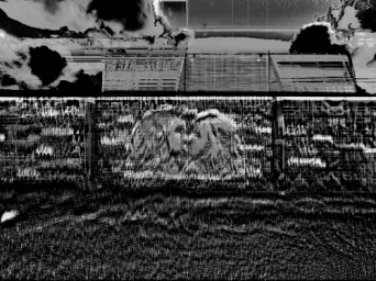 Photo MINDART by Viet - MINDART_004618