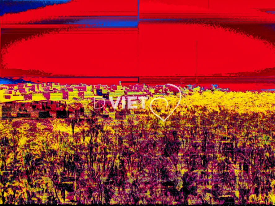 Photo MINDART by Viet - MINDART_001502