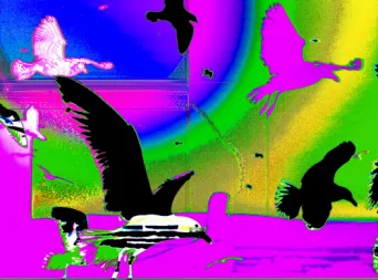 Photo MINDART by Viet - MINDART_001638