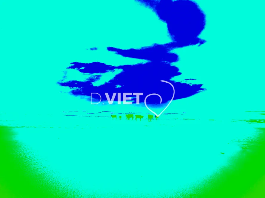 Photo MINDART by Viet - MINDART_001541