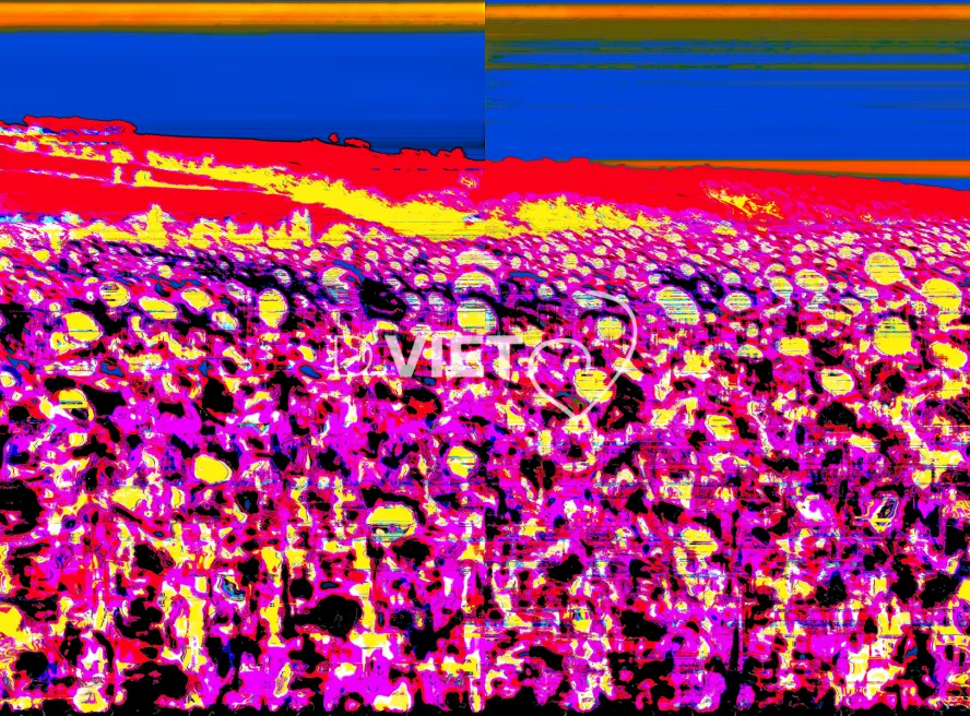 Photo MINDART by Viet - MINDART_003804