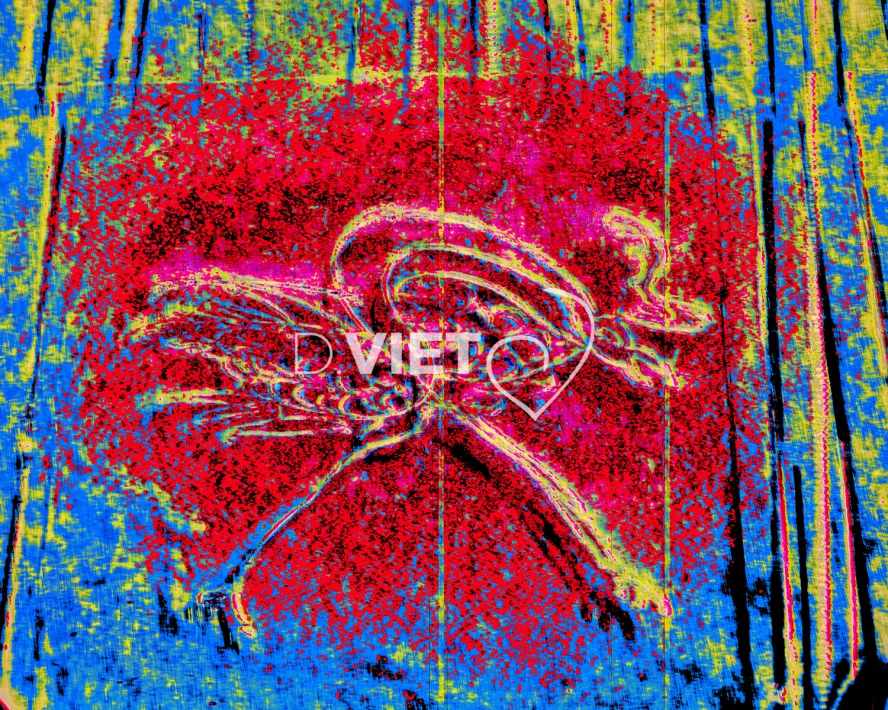 Photo MINDART by Viet - MINDART