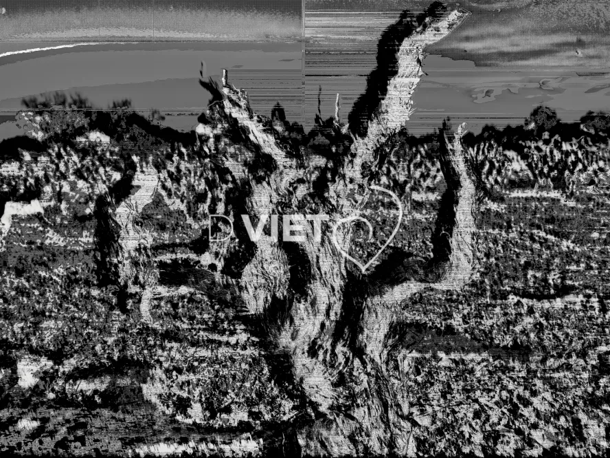 Photo MINDART by Viet - MINDART_003658