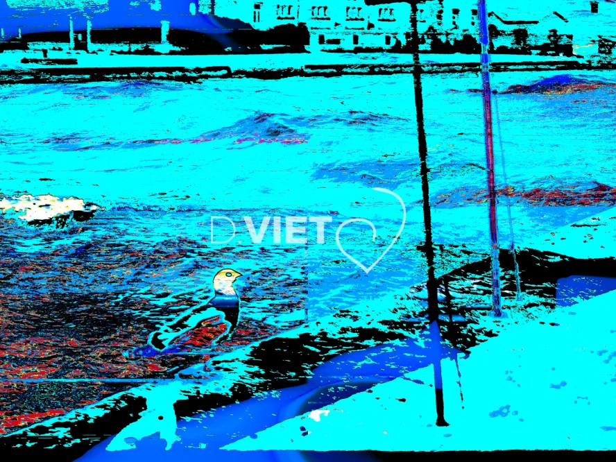 Photo MINDART by Viet - MINDART_004237